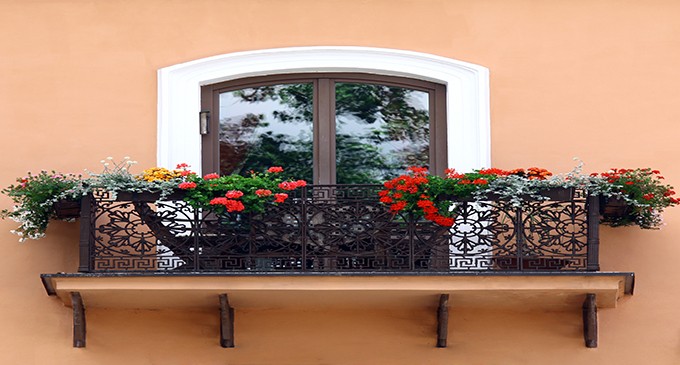 8 plantas para el balcón de tu casa
