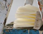 El dilema de elegir entre papel pintado o pintura